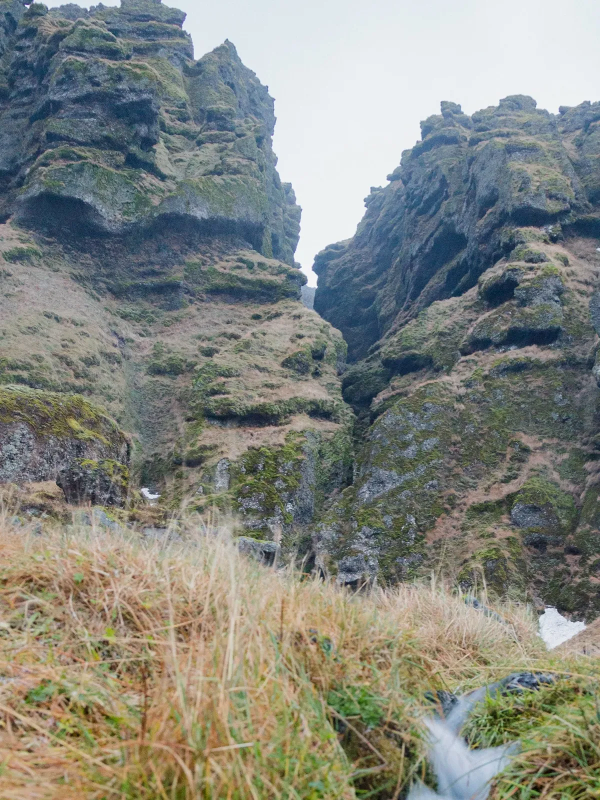 Mossy rock walls narrowing into an Icelandic canyon, with grass and a small stream in the foreground